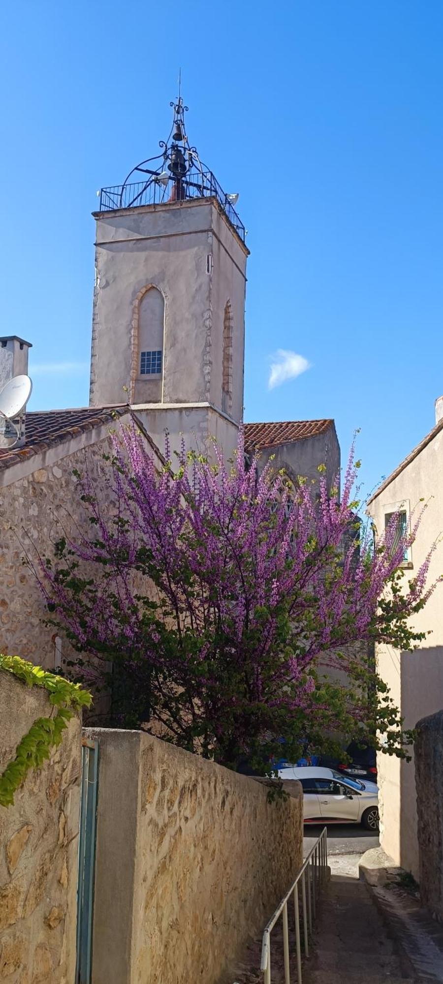 Gite La Capelle Roquefort Des Corbieres Sigean Narbonne Aude Buitenkant foto
